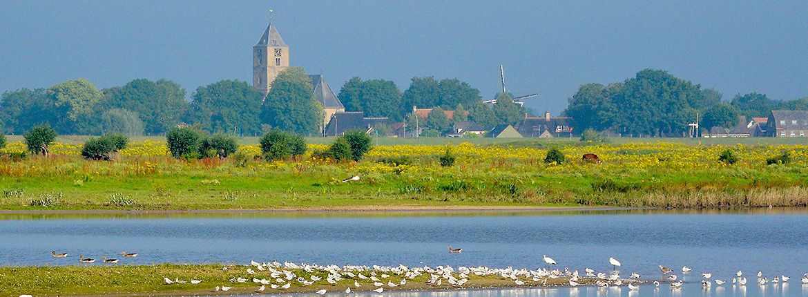 Vreugderijkerwaard / Hans Peeters