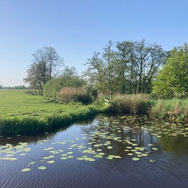 Ackerdijkse Plassen / Chris van der Heijden