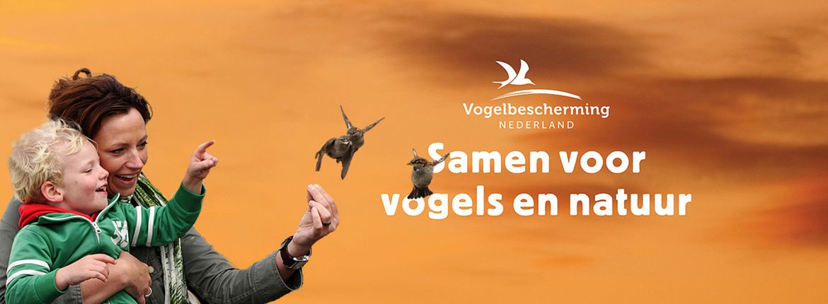 Samen voor vogels en natuur