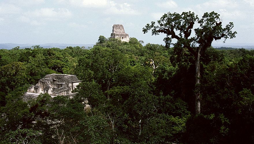 Tempel Tikal / Marc Guyt - Agami
