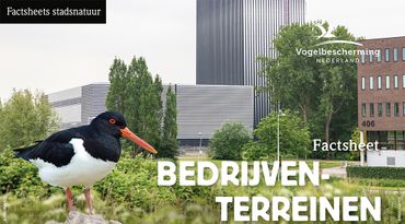 Download factsheet bedrijventerreinen