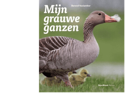 Cover Mijn grauwe ganzen