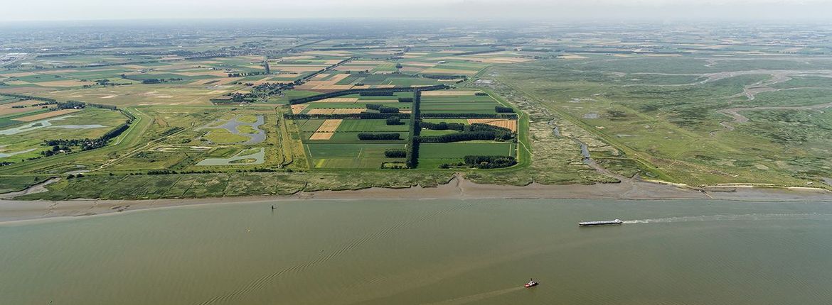 Prosperpolder (links), Hedwigepolder en Verdronken land van Saeftinge (rechts) / Shutterstock