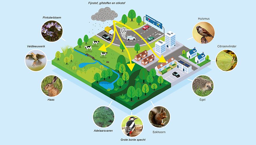 Infographic basiskwaliteit