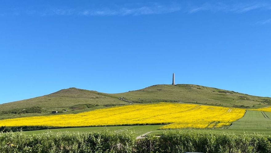 Wandelpad op Cap Blanc-Nez en velden koolzaad / Nathalie van Koot