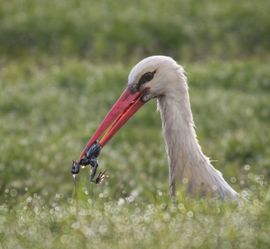 Tijd voor het ontbijt