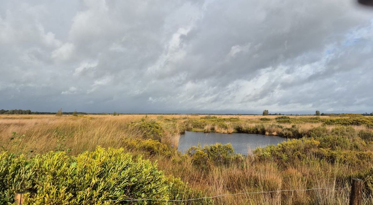 Telpost Engbertdijksvenen / Tom Kruissink