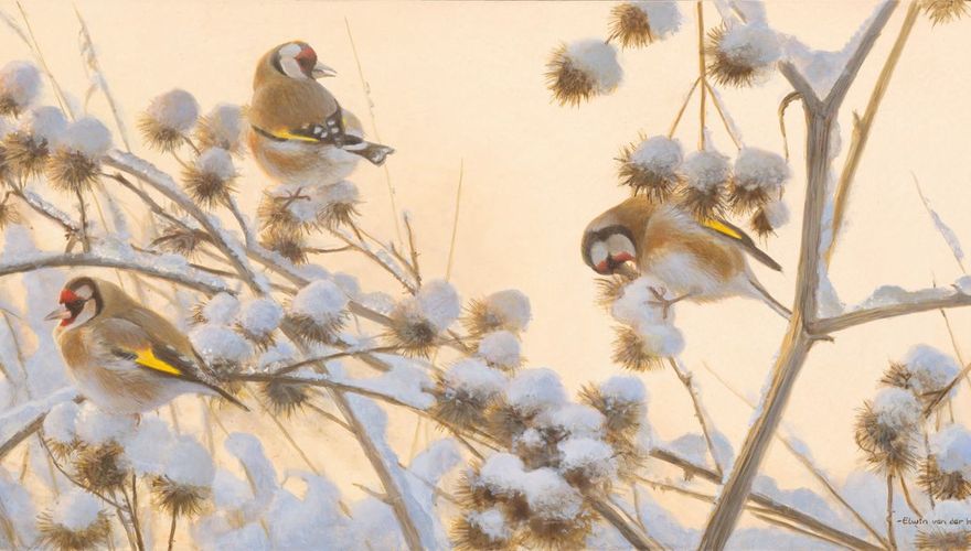Putters in de sneeuw afbeelding / Elwin van der Kolk