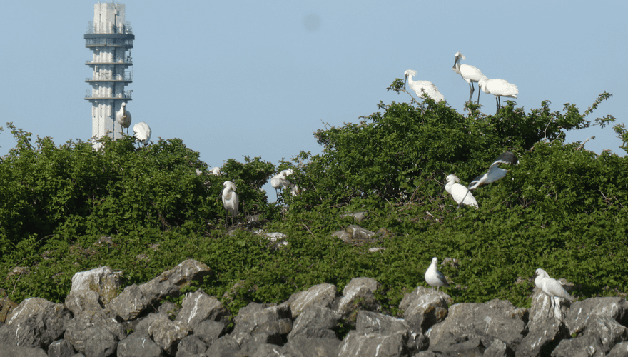 Nationaal Park Nieuw Land / Camilla Dreef