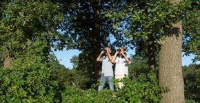 vogelatlas tellers - Marcel van Kammen