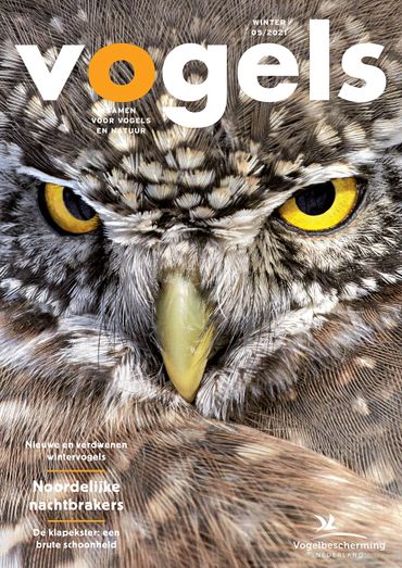Cover Vogels 05/2021