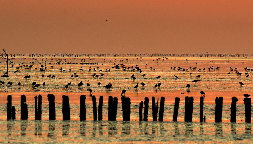 Silence of the tides sunset