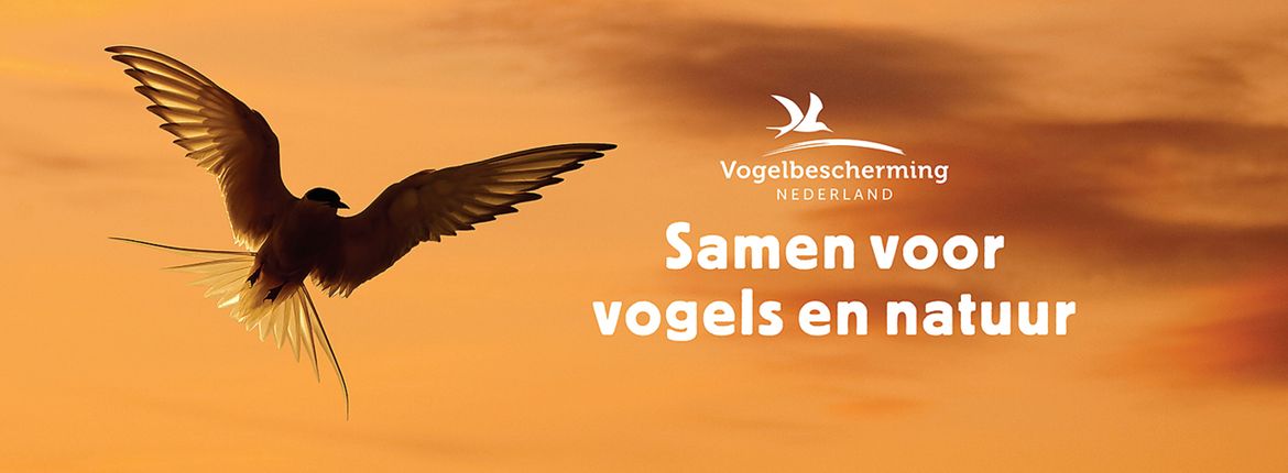 Samen voor vogels en natuur