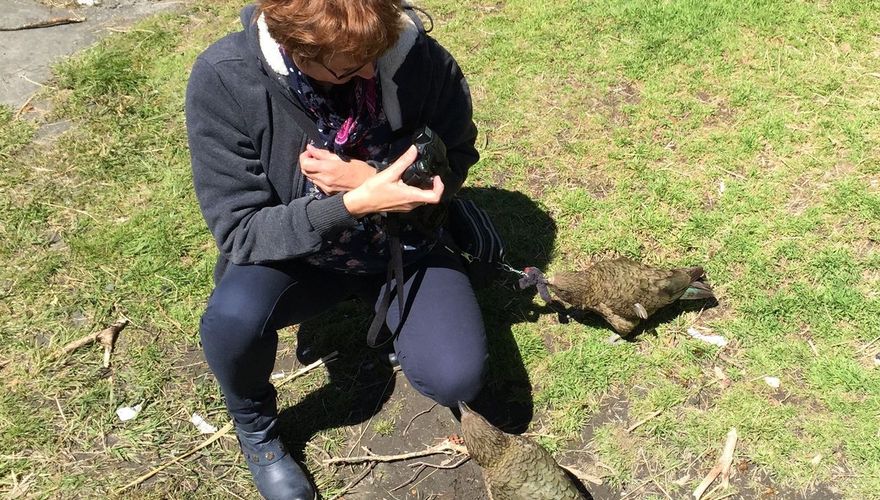 Kea's / Anne-Rie de la Cousine - fotogalerij