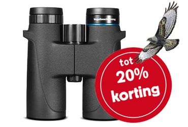 Kijkermaand 2020 buizerd kijkers