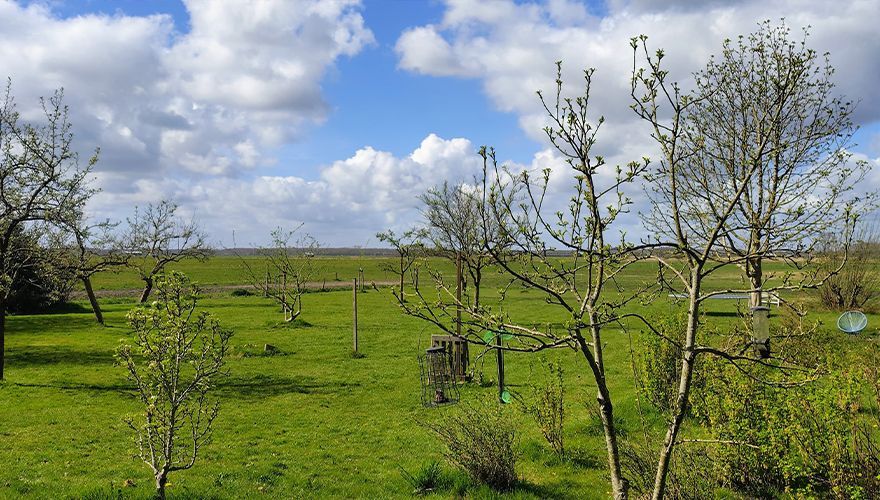 Koolmees nest Beleef de Lente / Lennart Suselbeek