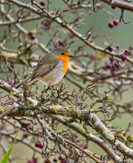 Even een momentje van bezinning...