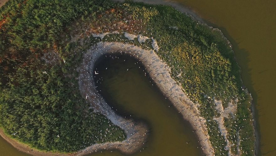 Grote sternen Wagejot / Marc Plomp (drone)