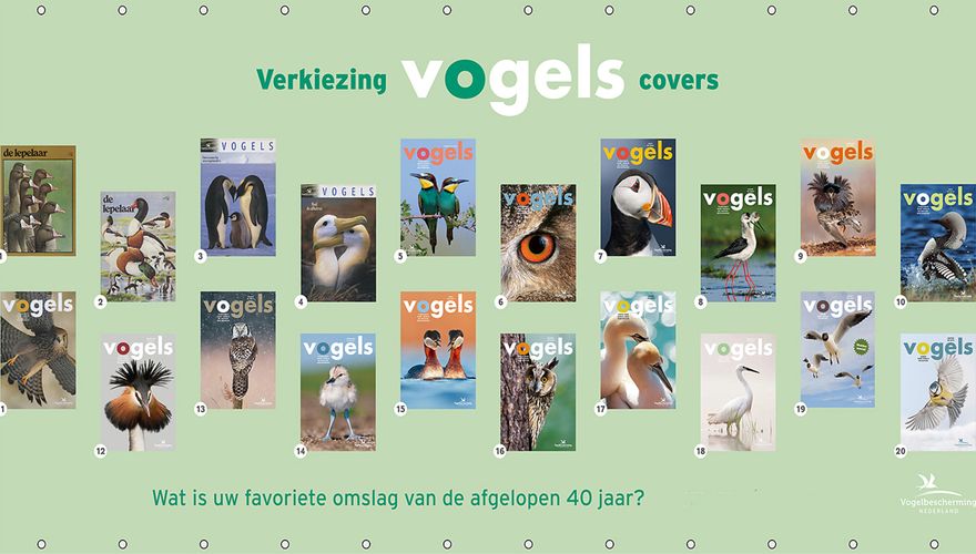 Covers Vogels