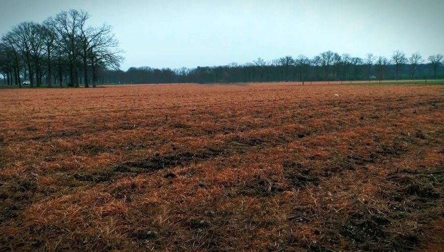 Videostill glyfosaat