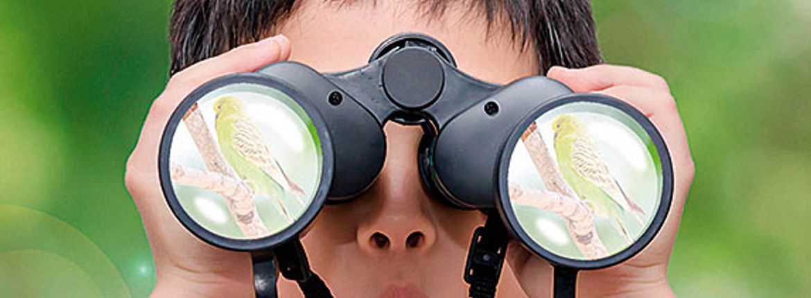 vogels kijken/ shutterstock