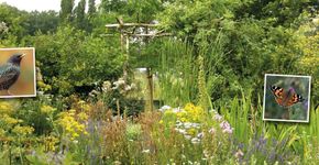 Tuinbeeld met foto's van vogels