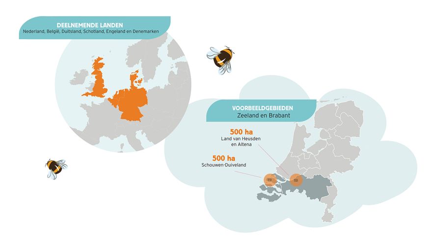 Internationale PARTRIDGE project