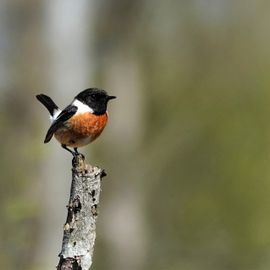 Kleurrijke natuur, zo mooi ❣️