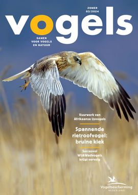 Cover Vogels 3, 2024