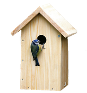 Nestkast met pimpelmees