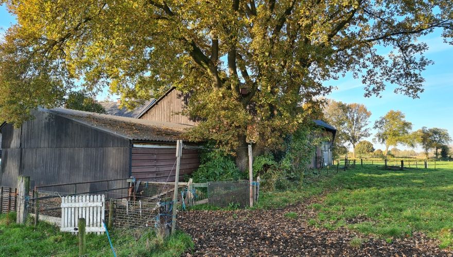 Locatie steenuil Beleef de Lente 2022 / Ronald van Harxen