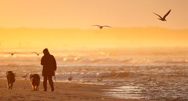 Wandelaars op Wadden / Agami - Ran Schols