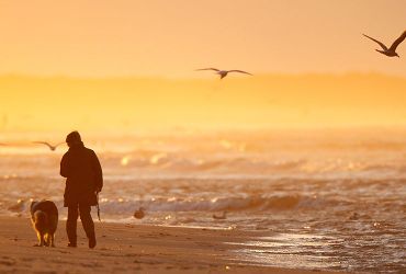 Wandelaars op Wadden / Agami - Ran Schols