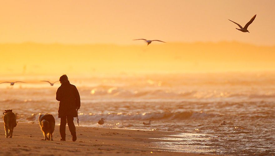 Wandelaars op Wadden / Agami - Ran Schols