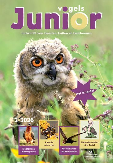 Cover Vogels Junior 2, 2026