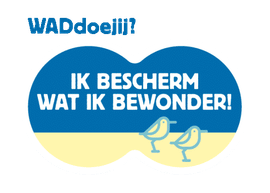 WADdoejij?