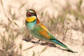 Ik heb het tegen jou