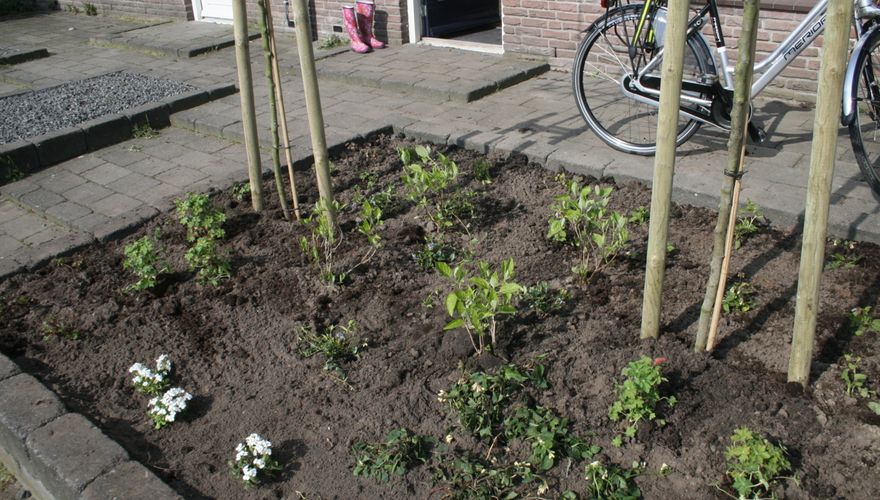 tuin / Jasper de Ruiter