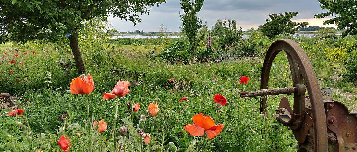 Tuin van Ingeborg Lewis