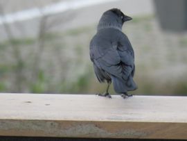 Kijk mij eens mooi zijn