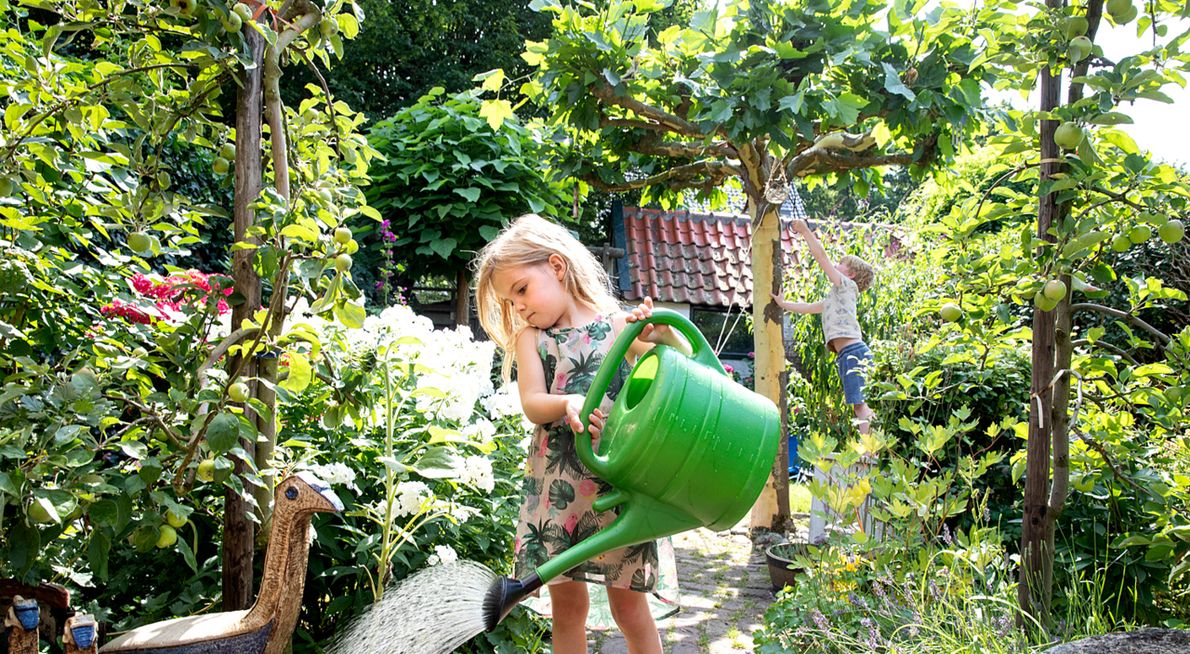 Appelboom in tuin / Fred van Diem