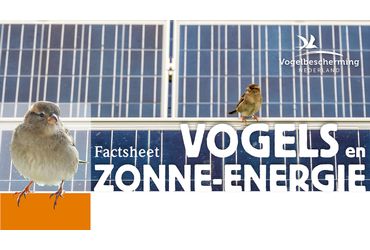 Factsheet en zonne-energie