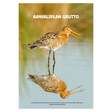 Cover Aanvalsplan Grutto