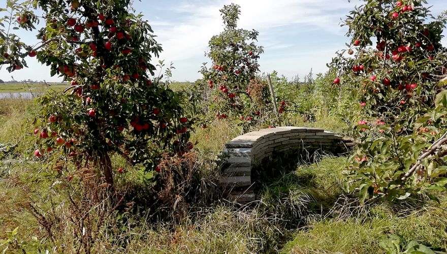 Fruit en stapelmuur in tuin van Ingeborg Lewis