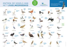 Vogelkaart IJsselmeergebied