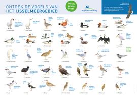 Vogelkaart IJsselmeergebied