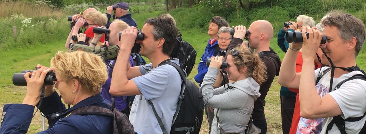 Vogels kijken / Chris van der Heijden