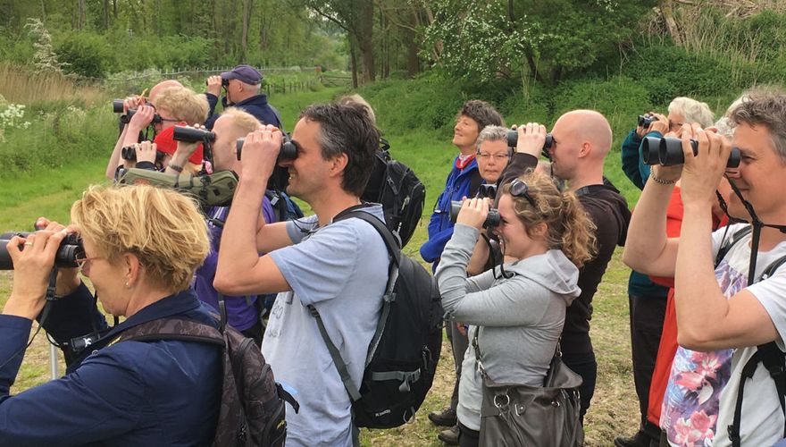 Vogels kijken / Chris van der Heijden