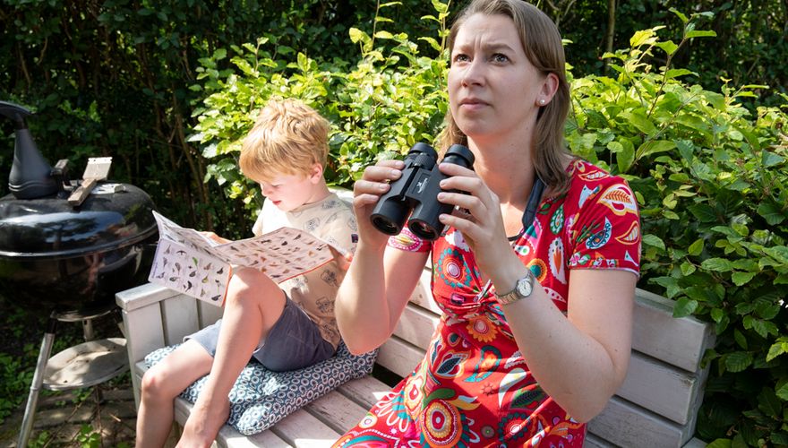 Vogels tellen in de tuin / Fred van Diem