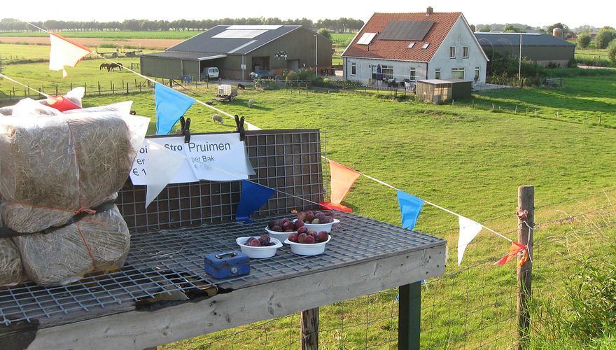 Boerderij van Fam. van Meeteren / Kirsten Dorrestijn